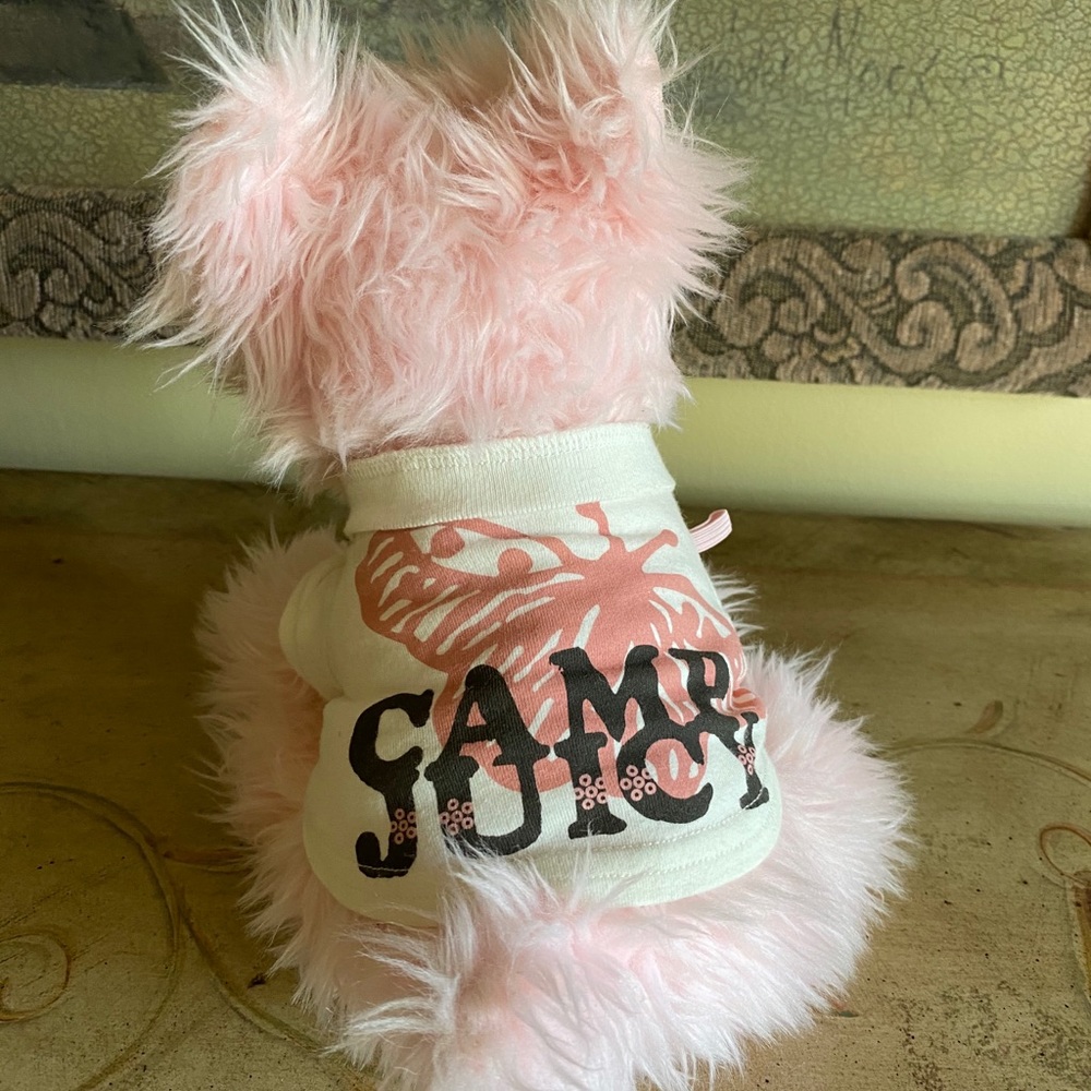 Juicy Couture dog